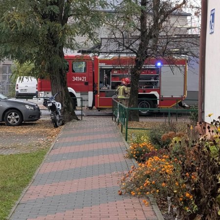 Przez długi czas słyszeli ten dźwięk za ścianą. Strażacy musieli wyważyć drzwi! [ZDJĘCIA]