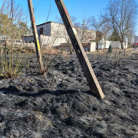 Ogień tuż za płotem remizy. Błyskawiczna akcja strażaków ochotników [ZDJĘCIA]