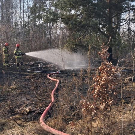 Ogień blisko domów na Ekologicznej. Szybka akcja ostrołęckich strażaków [ZDJĘCIA]