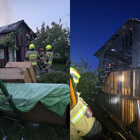 Zawyły syreny. Akcja gaśnicza na ROD „Czeczotka” [ZDJĘCIA]