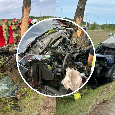 Nowe fakty o tragedii na drodze. Nie żyje 58-latek [ZDJĘCIA]