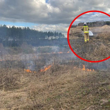 Strażacy ruszyli do pożaru. Paliło się w Lipnikach [ZDJĘCIA]