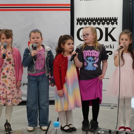 Eliminacje do VII edycji konkursu „Złoty Głos Powiatu Ostrołęckiego”. Kto wystąpi w finale? [ZDJĘCIA, WIDEO]