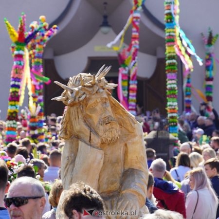 Bezpłatny transport na Niedzielę Palmową w Łysych. Sprawdź rozkład jazdy i program wydarzenia