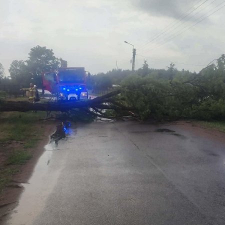 Siedem interwencji w kilkadziesiąt minut. Skutki wichury pod Ostrołęką [ZDJĘCIA]