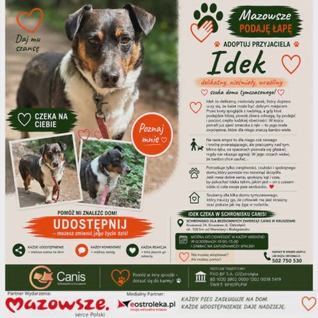 Spójrz w jego oczy – Idek bardzo chce zaufać, potrzebuje tylko cierpliwości