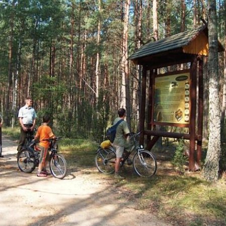Rowerowy hit na Kurpiach! Jezioro Krusko zyska trasę marzeń