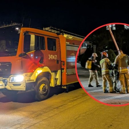 Dramat na dachu DPS-u przy ulicy Rolnej. Ta akcja wymagała od strażaków niezwykłej delikatności [ZDJĘCIA]