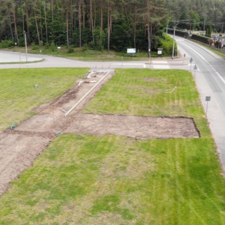 Aleja Palmowa powstaje nad Jeziorem Krusko. Hołd dla słynnej kurpiowskiej tradycji [ZDJĘCIA]