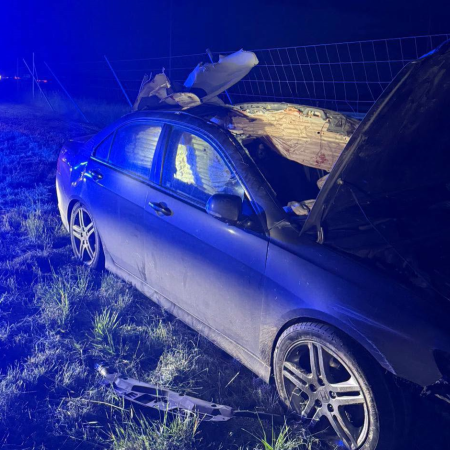 Groźne zderzenie z łosiem na S61. Dwie osoby trafiły do szpitala [FOTO]
