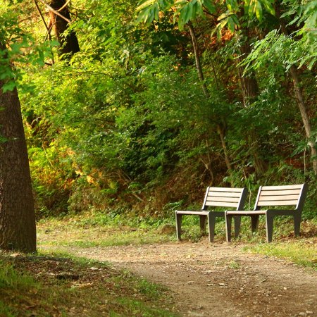 Tu powstanie nowy park w Ostrołęce? Prezydent zdradził lokalizację