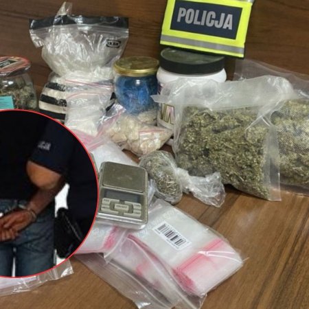 85 krzaków konopi i 8 kg narkotyków. Tak ostrołęcka policja czyści region z dilerów [ZDJĘCA]
