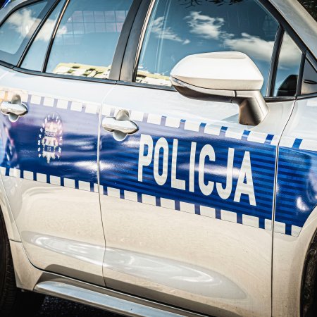 Żart o pumie może drogo kosztować. Policja podjęła działania ws. wywołania alarmu