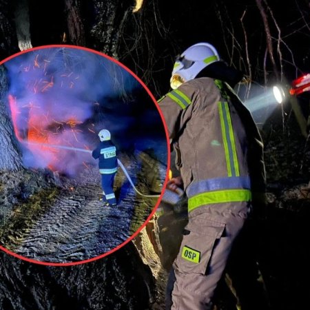 Zagrożenie na trasie w pobliżu Ostrołęki. Konieczna była pilna interwencja strażaków [ZDJĘCIA]