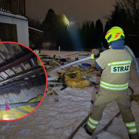 Ogień na ogródkach działkowych. Płonęła altana przy Olszynowej [ZDJĘCIA]