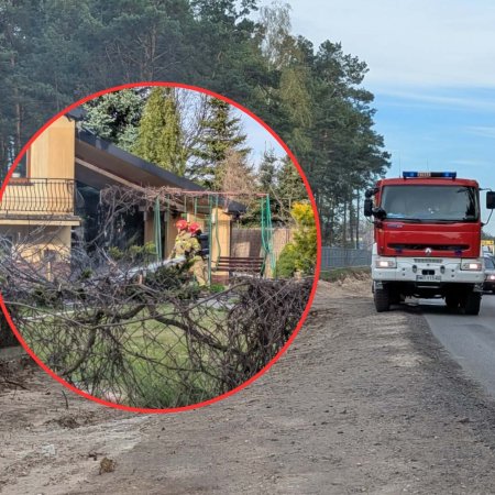 Wzorowa postawa kierowcy w Ostrołęce. Zauważył dym i uratował dom przed spaleniem [WIDEO, ZDJĘCIA]
