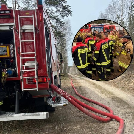 Ogień wdarł się do lasu pod Ostrołęką. Duża akcja ratunkowa ze wsparciem sąsiadów