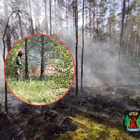 Czarna środa w regionie: 5 pożarów, ranni i wielka akcja strażaków [WIDEO, ZDJĘCIA]
