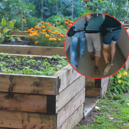 Zbrodnia na działce w Ostrołęce. Ruszył proces oskarżonych. Pierwsza decyzja sądu