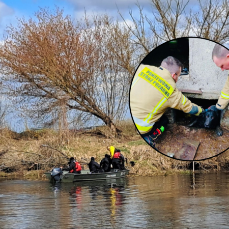 Strażacy w walce o każde życie. Dramatyczne interwencje na Narwi i w głębokim zbiorniku [ZDJĘCIA]