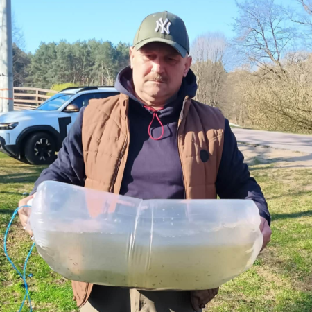 Ponad 350 tysięcy szczupaków trafiło do rzek Omulew i Narew [WIDEO, ZDJĘCIA]