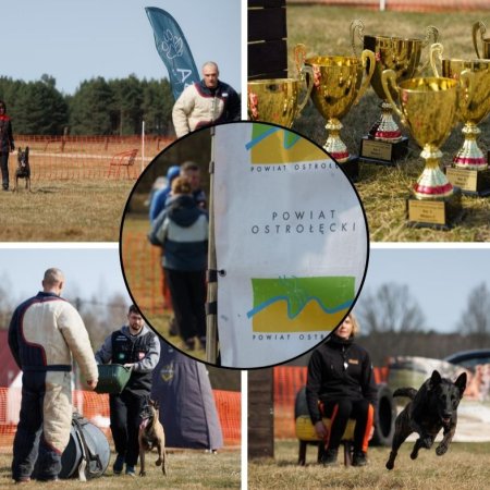 Powiat Ostrołęcki współorganizatorem Mistrzostw Polski w Mondioringu [ZDJĘCIA]