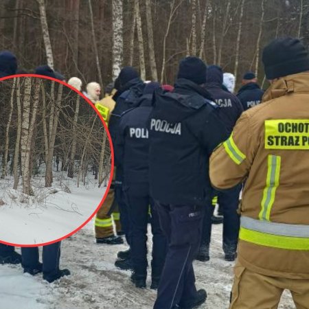 Koniec nadziei. Policja odkryła w lesie ludzkie zwłoki. To zaginiony senior!