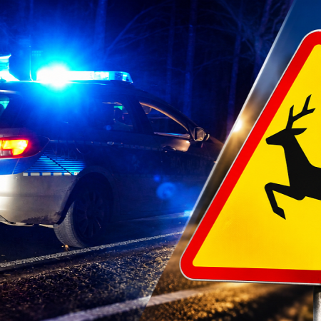 Jedna chwila i Audi znalazło się w rowie. Wszystko przez sarnę