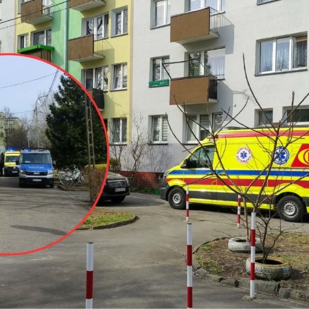 Dramatyczne odgłosy zza zamkniętych drzwi. Sąsiedzi wezwali pomoc, co z tego wynikło? [ZDJĘCIA]