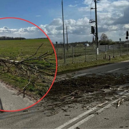 Lany Poniedziałek pod znakiem wichur. Strażacy w regionie walczyli z żywiołem! [ZDJĘCIA]