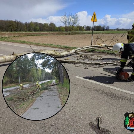 Wichura nie miała litości. Drzewa leciały na drogi, zrywało dachy! [ZDJĘCIA]