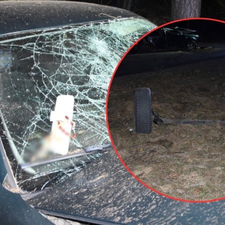 Masakra na drodze: Volkswagen roztrzaskał się o drzewo, z auta odpadła oś! [ZDJĘCIA]