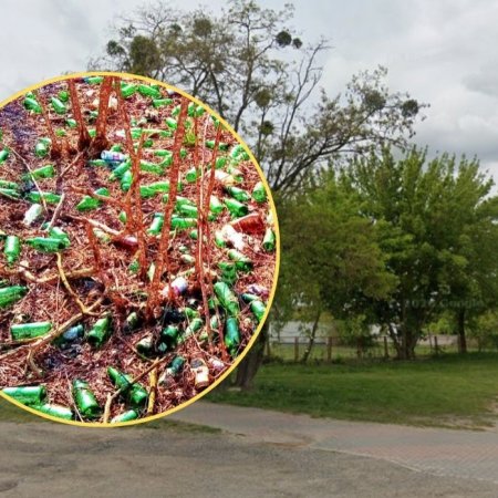 Ulica Zielona “zakwitła” nietypowo. Takiej wiosny nie chcemy!