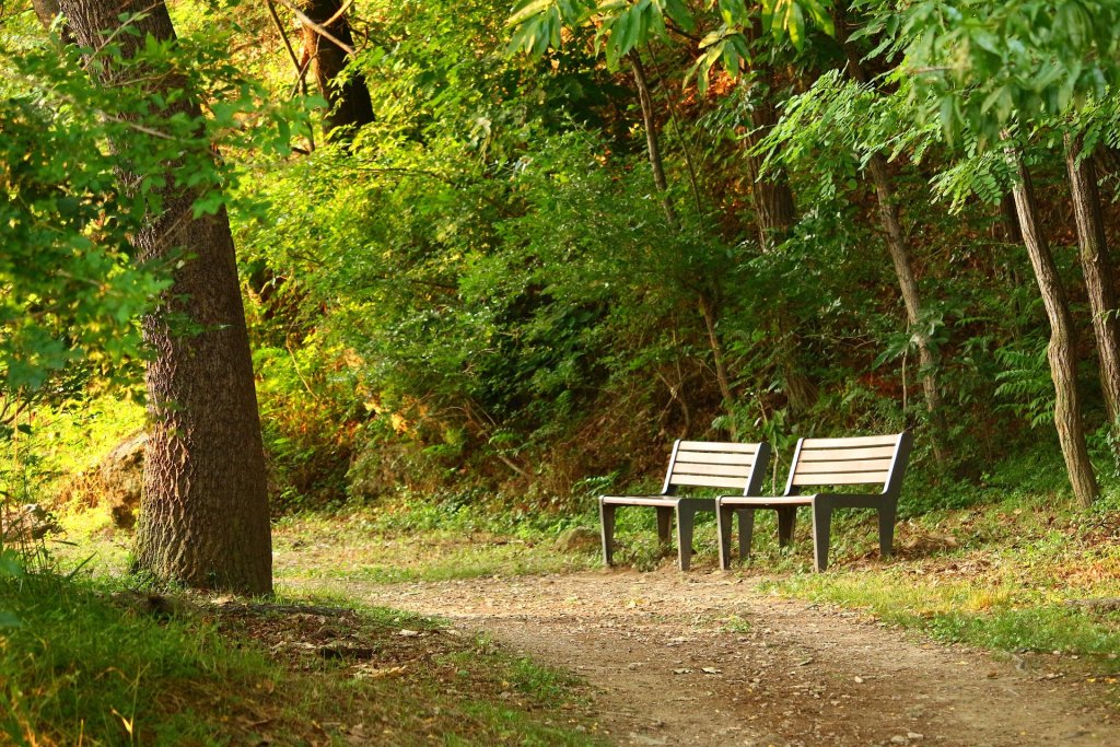 Tu powstanie nowy park w Ostrołęce? Prezydent zdradził lokalizację