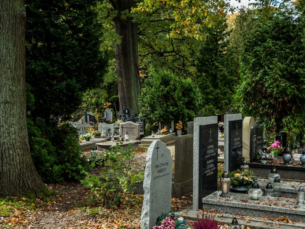 Czego nie wolno robić na cmentarzu? Wiele osób zapomina o tych zasadach