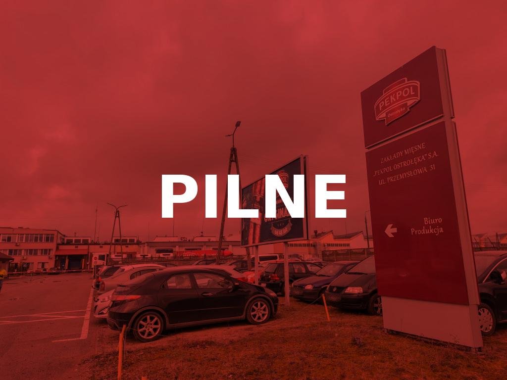 100 tys. zł nagrody! KOMUNIKAT zarządu Zakładów Mięsnych Pekpol Ostrołęka SA