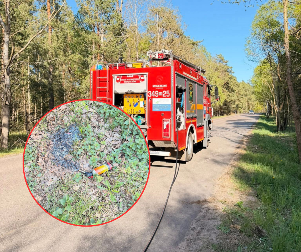 Płonąca pułapka w przydrożnym rowie. Beztroska mogła spalić las pod Ostrołęką! [ZDJĘCIA]