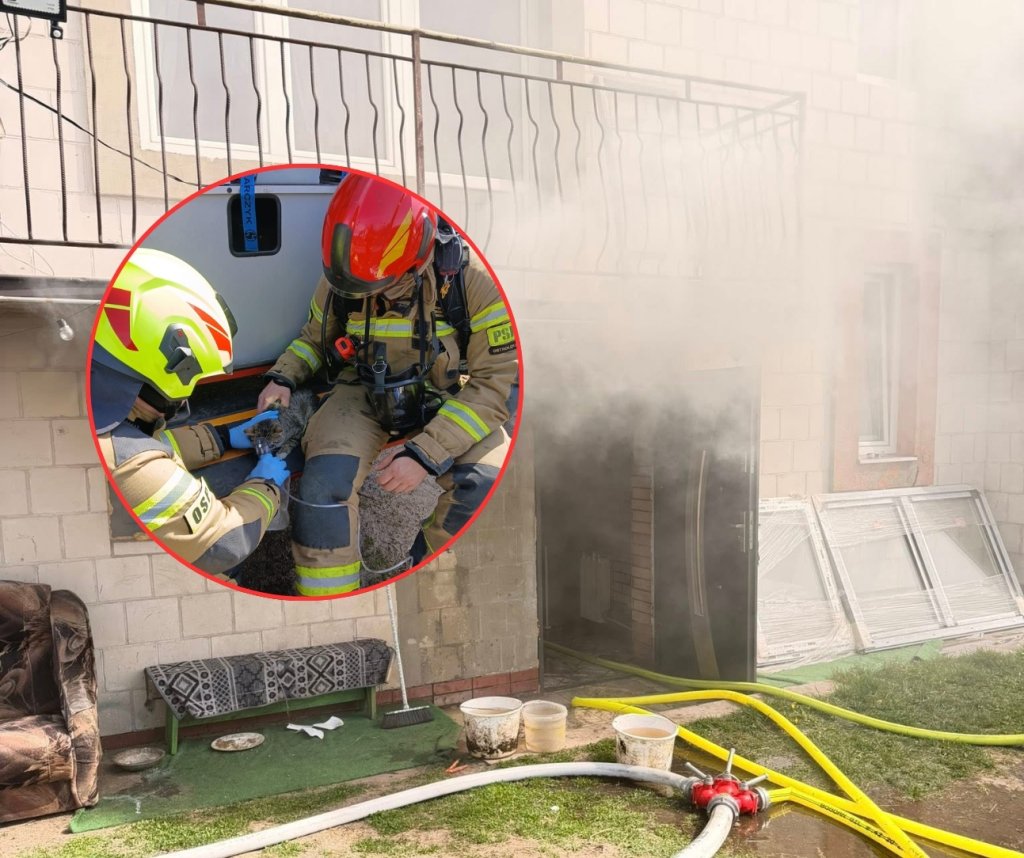 Dramat w piwnicy. 25 strażaków w akcji, są ranni, ucierpiał też kot! [ZDJĘCIA]