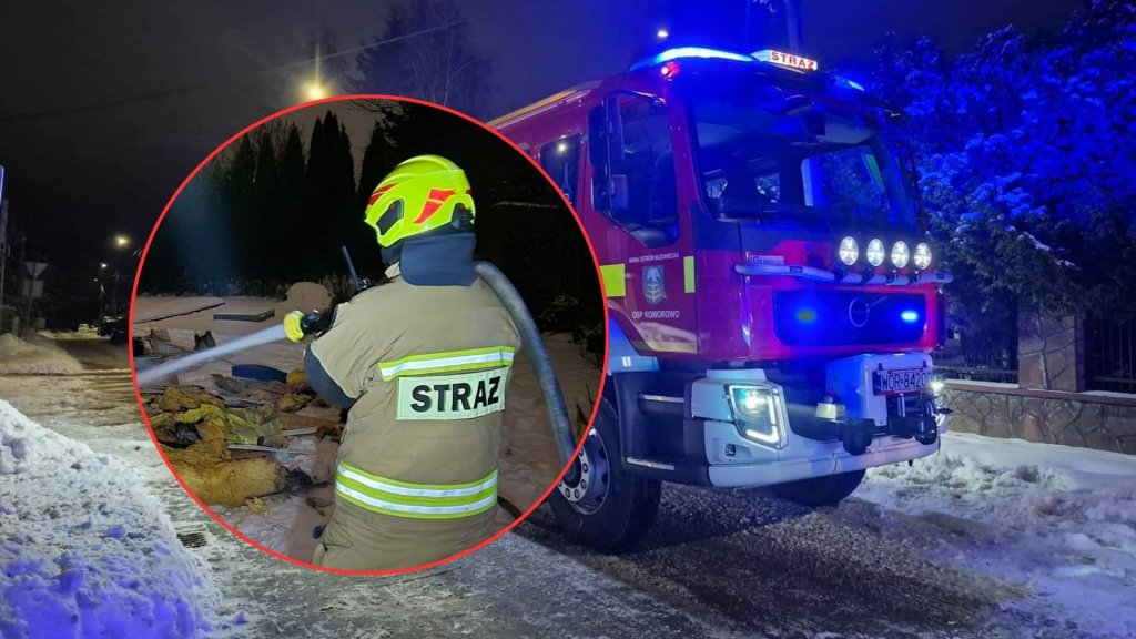 Nocny dramat pod Ostrołęką. Dziesiątki zwierząt spłonęły w ogniu, strażacy ocalili tylko króliki!