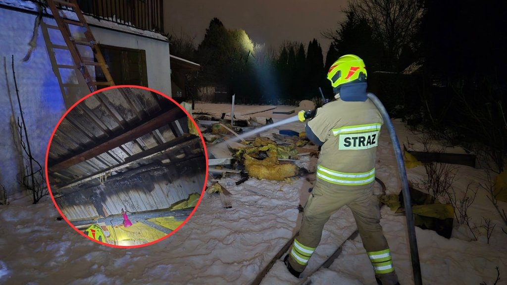Ogień na ogródkach działkowych. Płonęła altana przy Olszynowej [ZDJĘCIA]