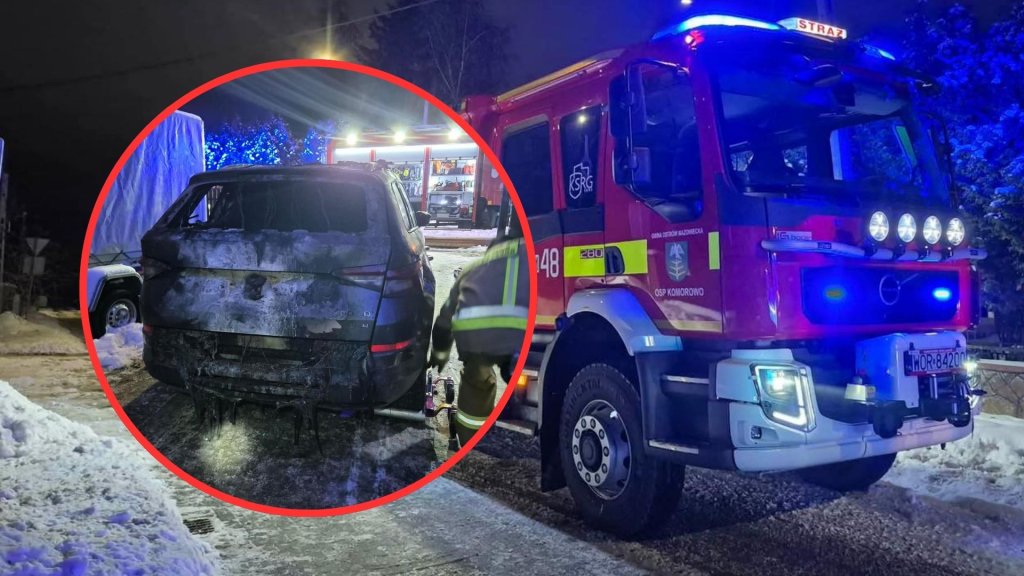 Wojskowa Straż Pożarna w akcji. Płonęła Skoda i garaż [ZDJĘCIA]
