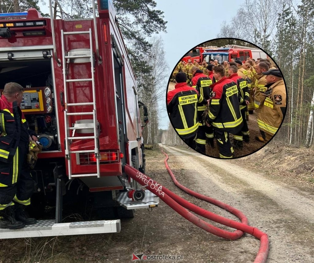 Ogień wdarł się do lasu pod Ostrołęką. Duża akcja ratunkowa ze wsparciem sąsiadów