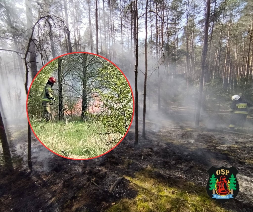 Czarna środa w regionie: 5 pożarów, ranni i wielka akcja strażaków [WIDEO, ZDJĘCIA]