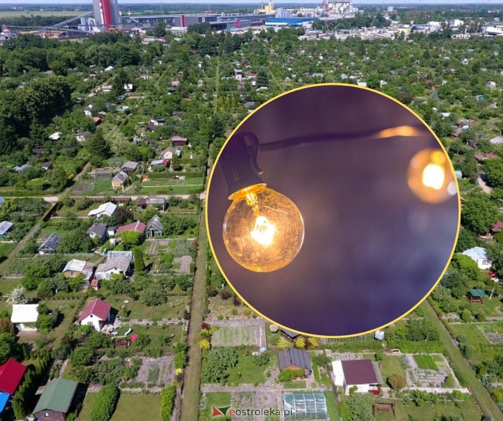 zdjęcie ilustracyjne