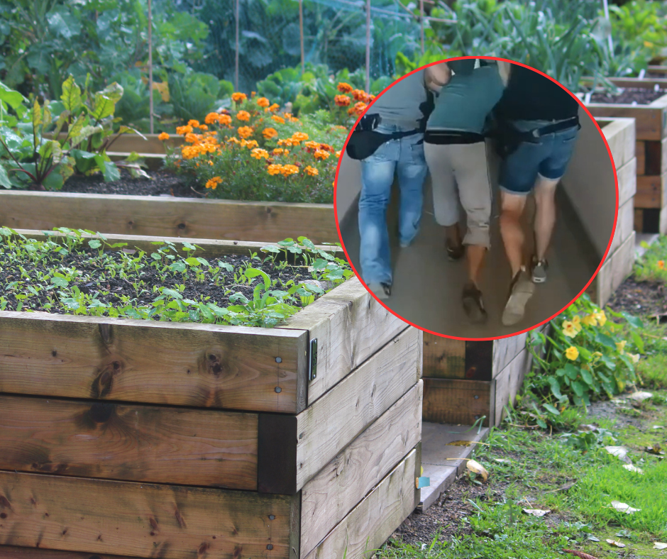 Zbrodnia na działce w Ostrołęce. Ruszył proces oskarżonych. Pierwsza decyzja sądu