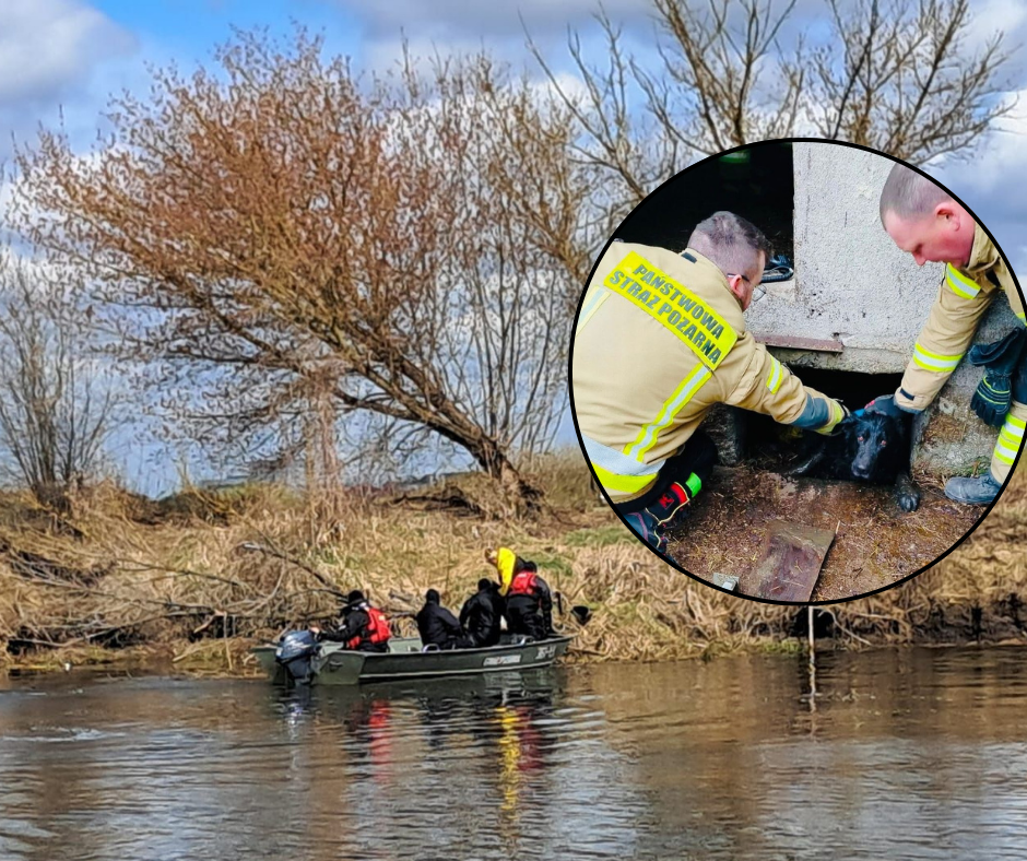Strażacy w walce o każde życie. Dramatyczne interwencje na Narwi i w głębokim zbiorniku [ZDJĘCIA]
