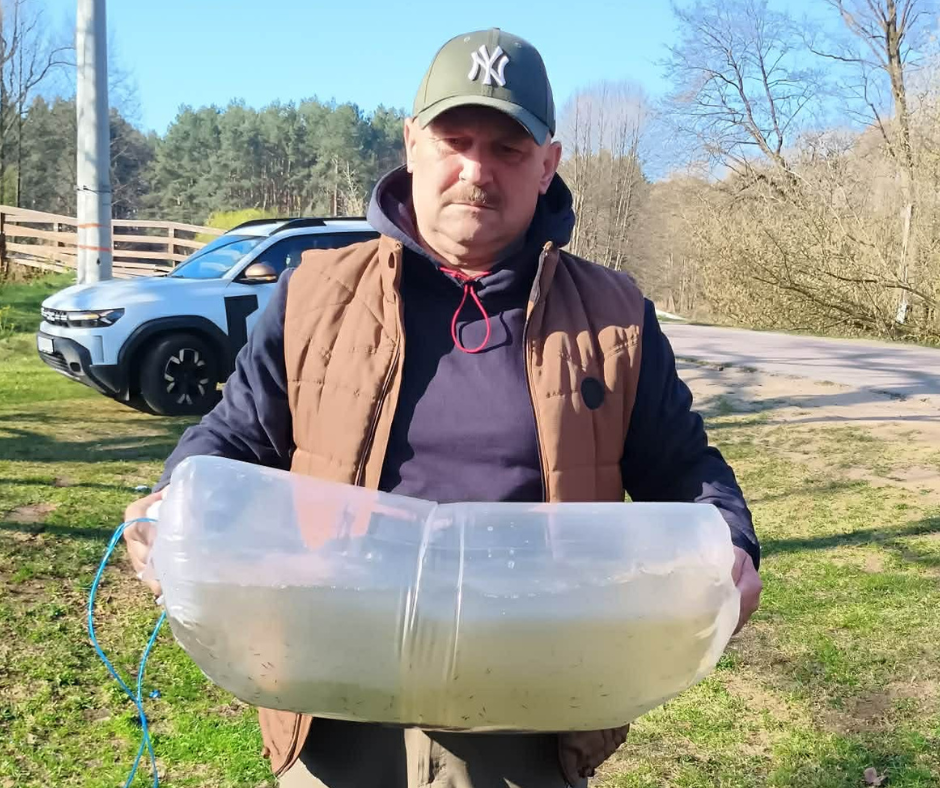 Ponad 350 tysięcy szczupaków trafiło do rzek Omulew i Narew [WIDEO, ZDJĘCIA]