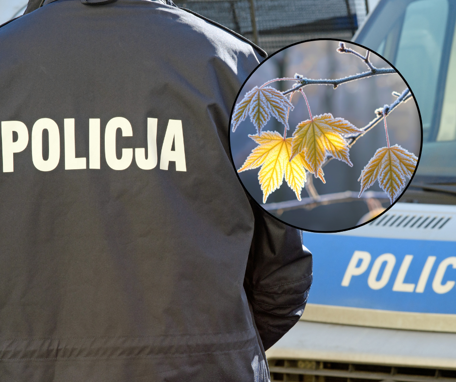 Siarczysty mróz zagrożeniem dla życia. "Zwracajmy uwagę"