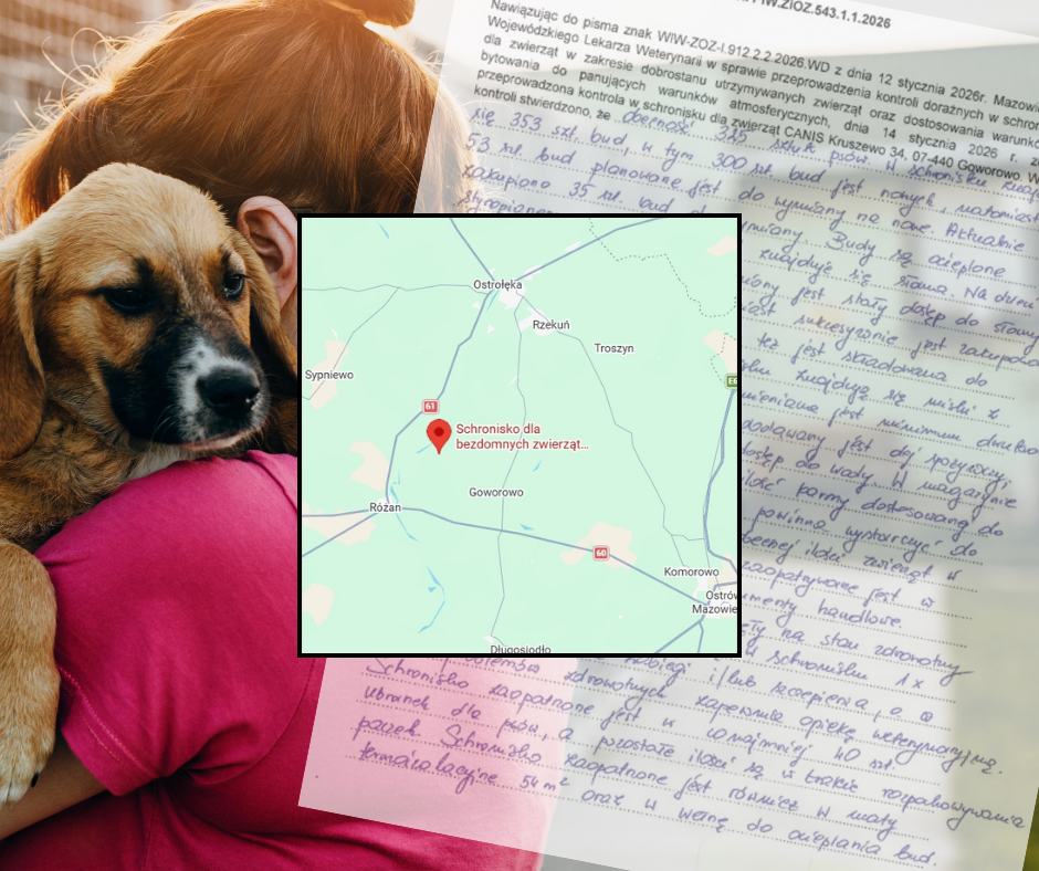 Schroniska dla zwierząt pod lupą. "Canis" w Kruszewie - znamy wyniki kontroli
