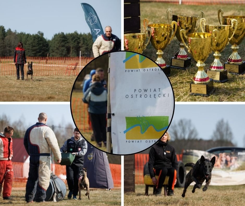 Powiat Ostrołęcki współorganizatorem Mistrzostw Polski w Mondioringu [ZDJĘCIA]